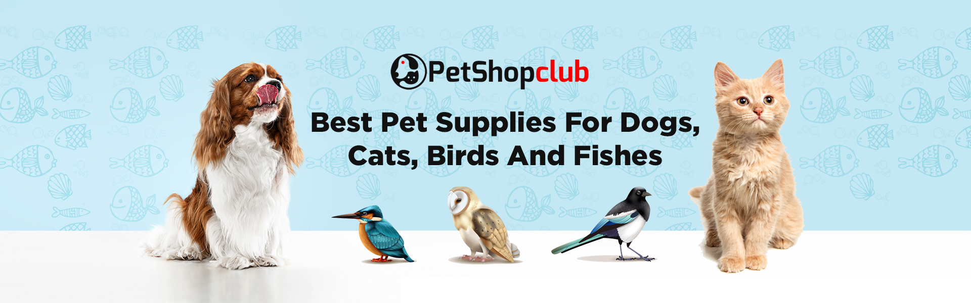 Best Pet Supplies For Dogs, Cats, Birds, And Fishes