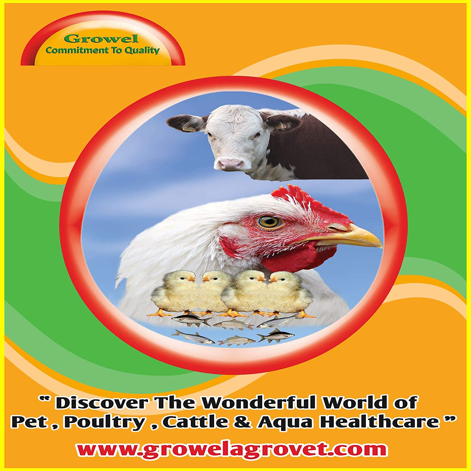 Growel Grow E-Sel - Vitamin- E,Vitamin -C,Biotin & Selenium for Pigeon, Poultry, Birds & Farm Animals- 200 gm. - View 4