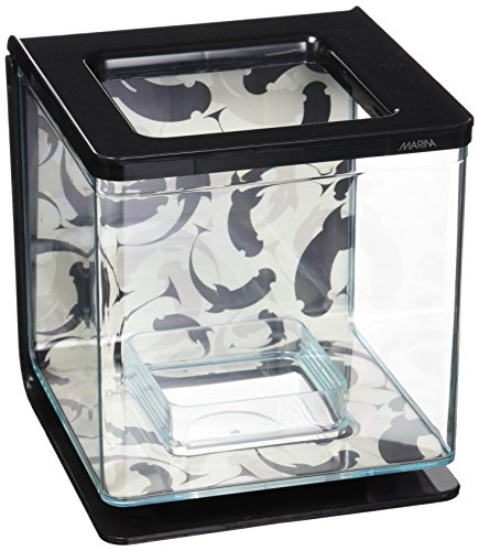 Marina Betta Starter Kit for Aquarium