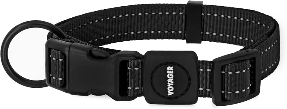 Best Pet Supplies Reflective Dog Collar with Adjustable Length, Heavy-Duty Buckle, and Strong Leash D-Ring, Cute Training, Walking Accessory for Small, Medium, and Large Breeds - Black, 5/8"