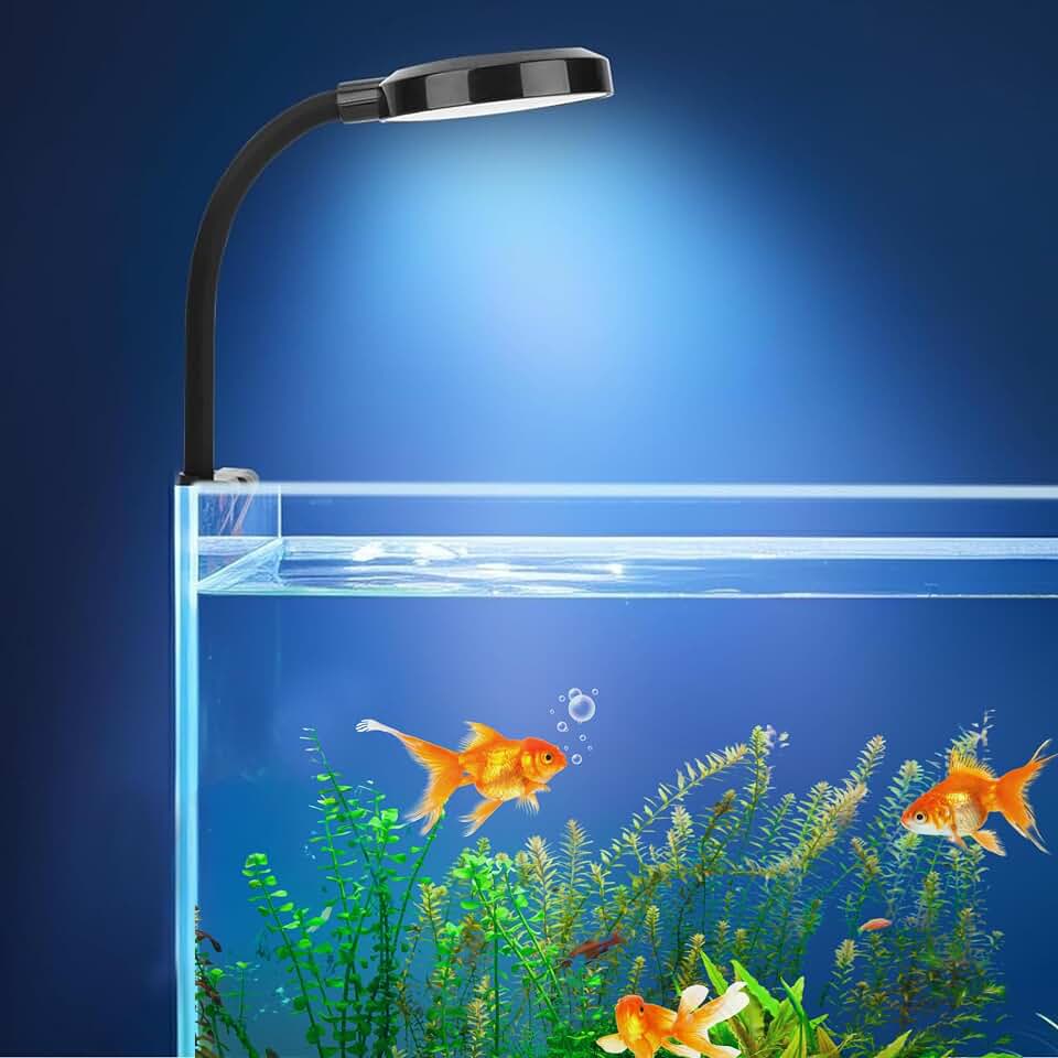BURAQ N6 Multicolor Aquarium LED Light 2.5W | WRGB Spectrum | 3 Lighting Modes | 360° Flexible Arm | Clip-On Lamp for Nano Fish Tanks & Bowls